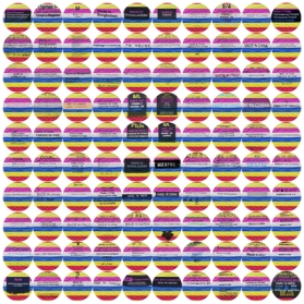 100 macarons-made-in (2015)